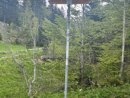 23-05-23 11-09-08 5578